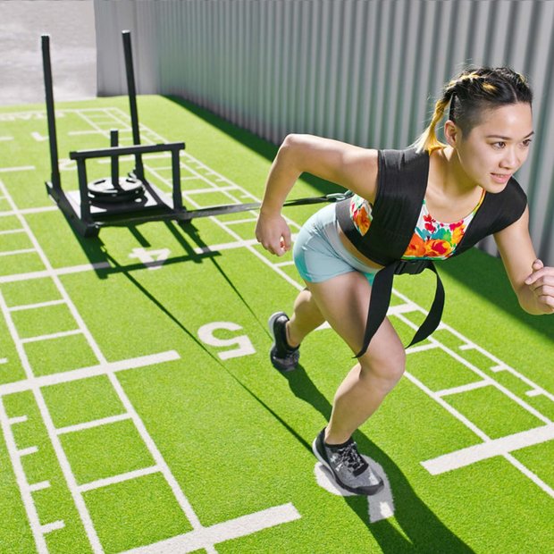 PAVIGYM Turf | Kunstrasen | Stärke 16 mm | diverse Längen und Farben