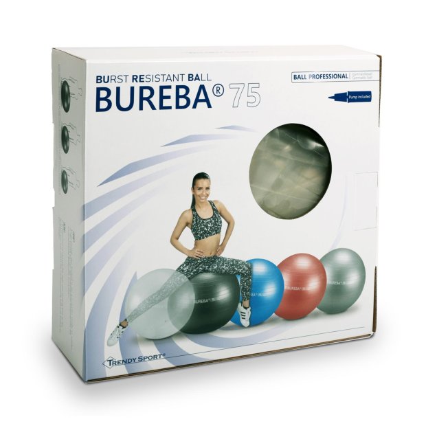 Burst Resistant Ball Professional | 55 cm | Anthrazit